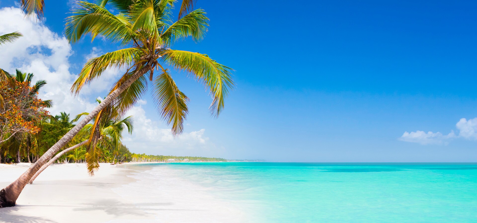 Le 5 Isole Pi Belle Dei Caraibi Da Vedere In Crociera CostaClub