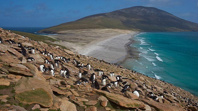 Isole Falkland Cosa Vedere E Cosa Fare C Magazine Isole Falkland Cosa Vedere E Cosa Fare C Magazine