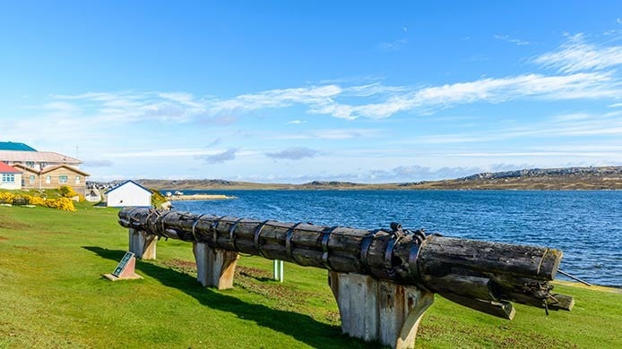 Isole Falkland Cosa Vedere E Cosa Fare C Magazine isole-falkland-cosa-vedere-e-cosa-fare-c-magazine