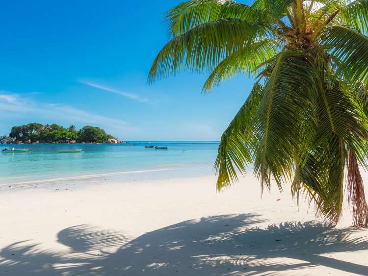 Risultati immagini per giamaica