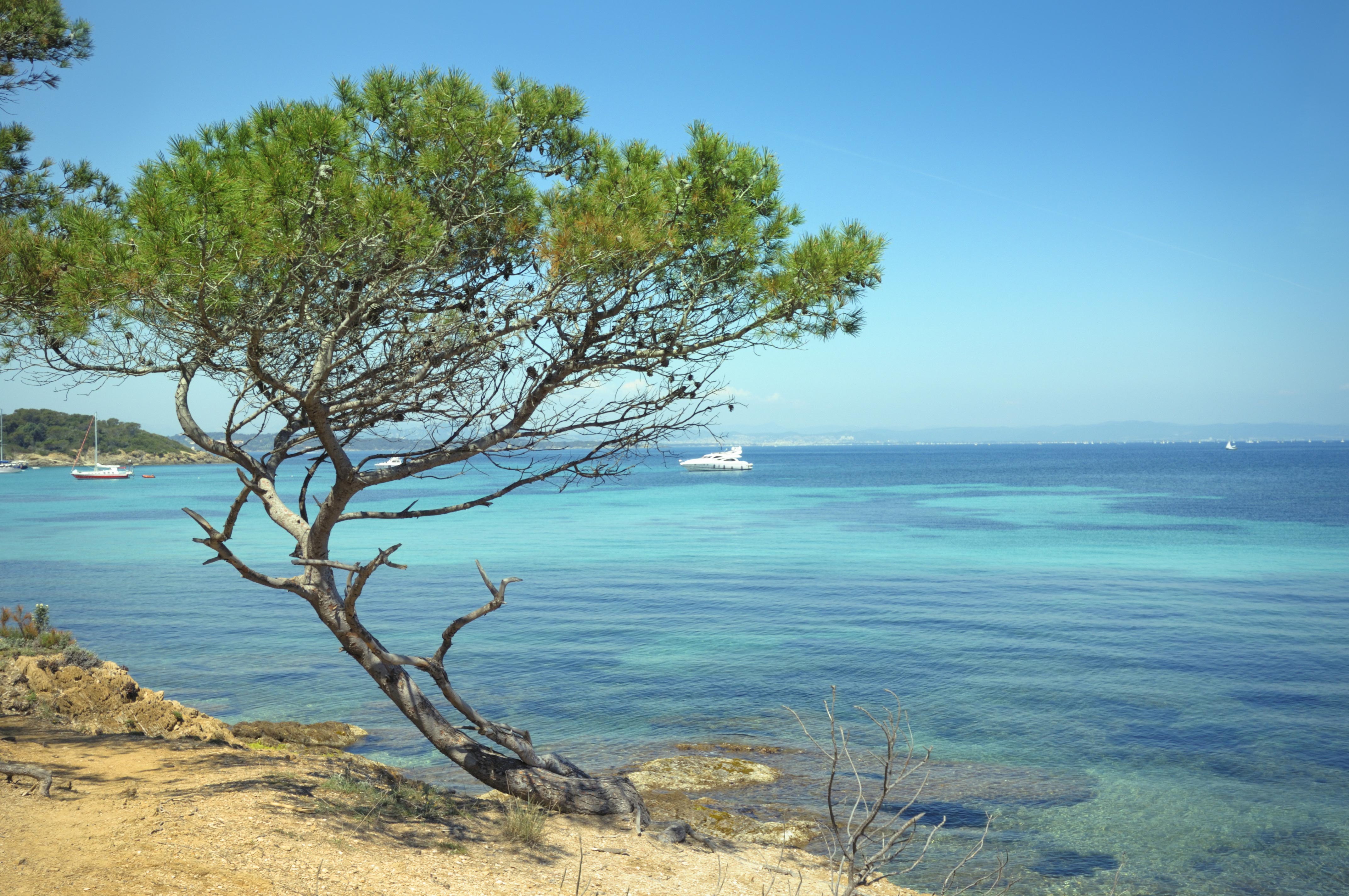 Escursioni con le crociere a Tolone-La Seyne sur Mer | Costa Crociere